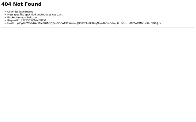 Screenshot of tribel.com