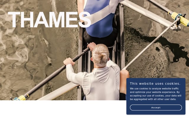 Screenshot of thames.ai
