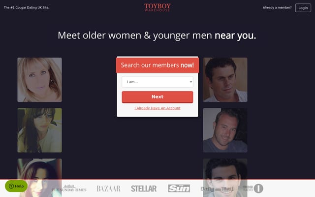 Screenshot of toyboywarehouse.com