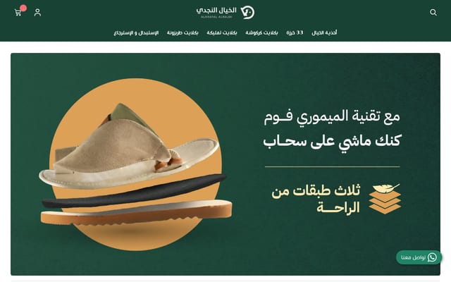 Screenshot of njdisa.com