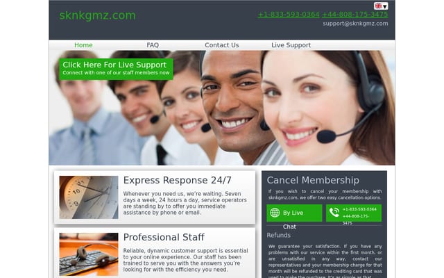 Screenshot of sknkgmz.com