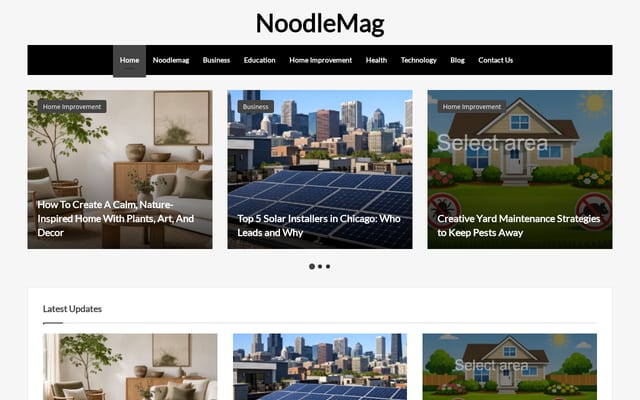 Screenshot of noodlemag.net