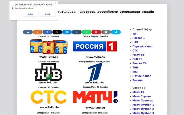 Screenshot of tvru.su