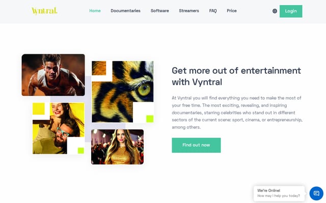 Screenshot of vyntral.com