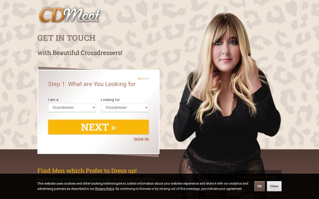 Screenshot of cdmeet.com