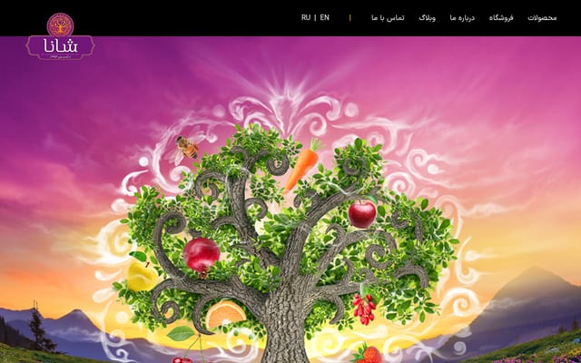 Screenshot of shanafood.com