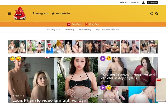 Screenshot of duavn.com