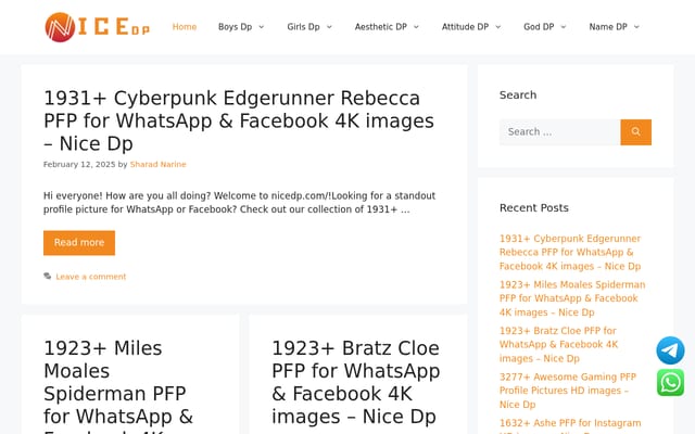 Screenshot of nicedp.com