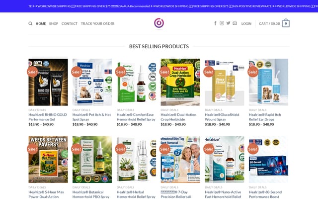 Screenshot of healrize.net