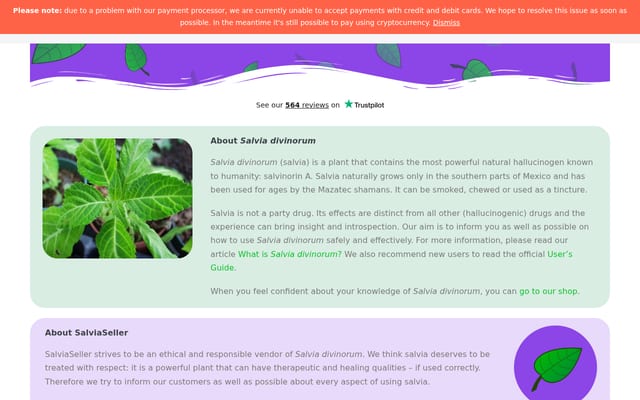 Screenshot of salviaseller.com