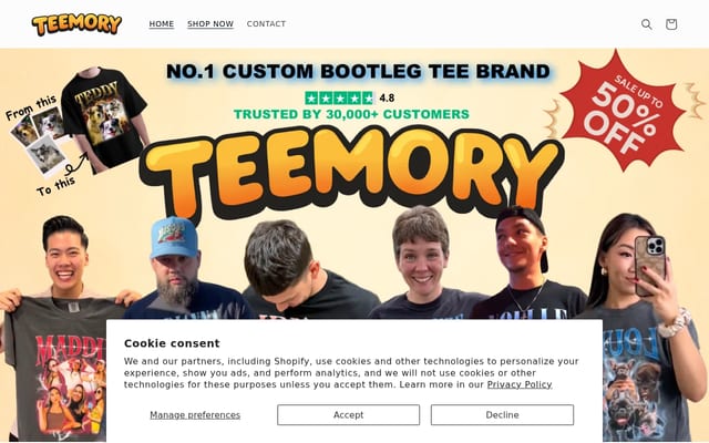 Screenshot of teemory.com