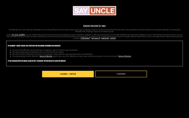 Screenshot of sayuncle.com