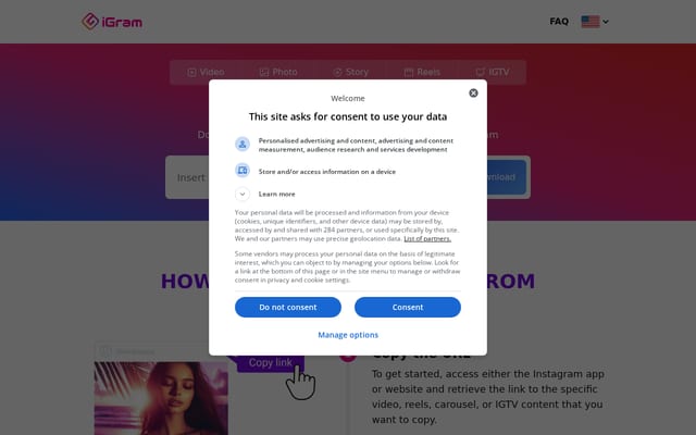 Screenshot of instadownload.site