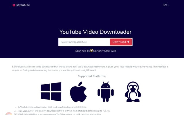 Screenshot of ssyoutube.com