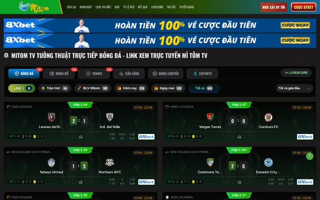 Screenshot of wanderersandwarriors.com
