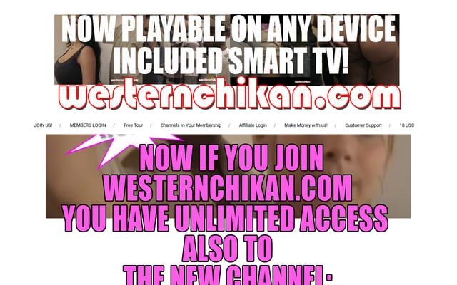 Screenshot of westernchikan.com