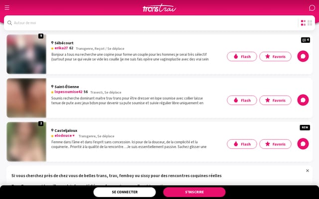 Screenshot of transtrav.com