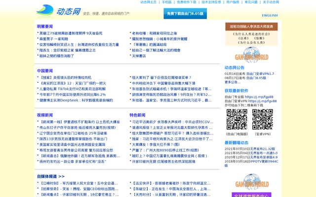 Screenshot of dongtaiwang.com
