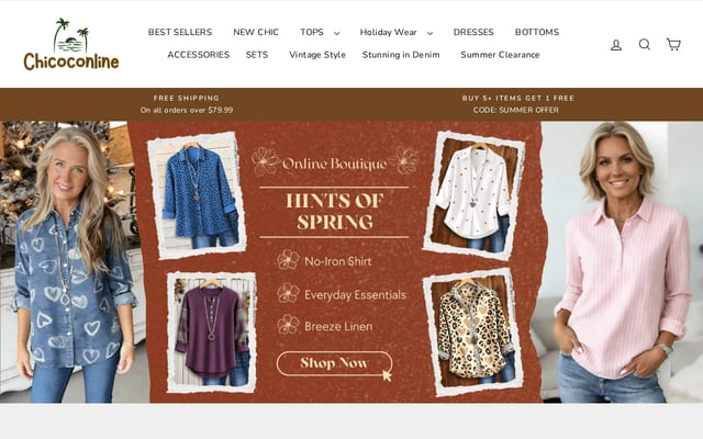 Screenshot of chicoconline.com