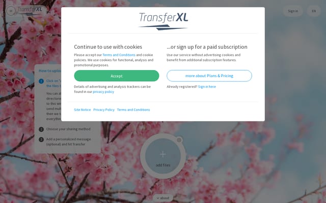 Screenshot of transferxl.com