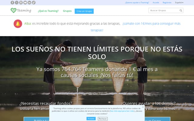 Screenshot of teaming.net