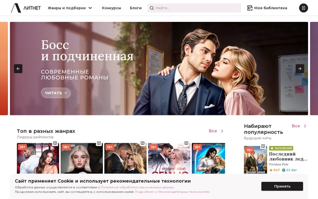 Screenshot of litnet.com